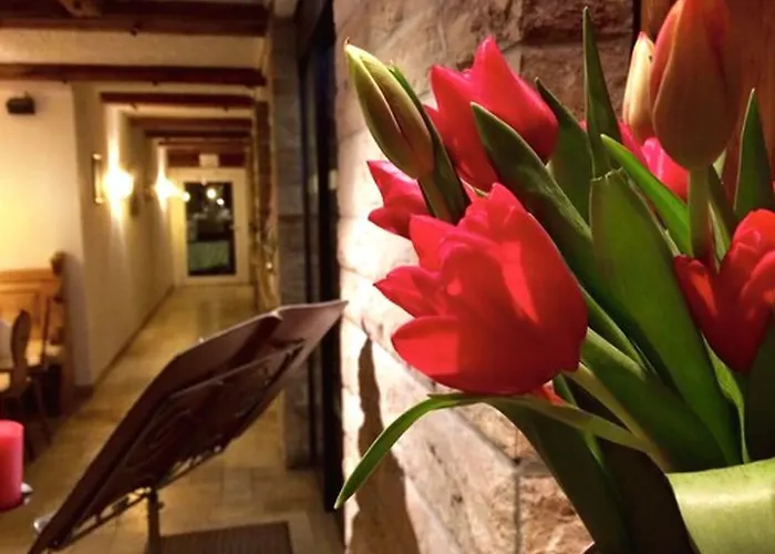 Hotel Kainsbacher Muehle