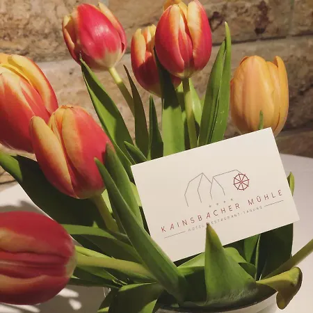 מלון Kainsbacher Muehle Kainsbach