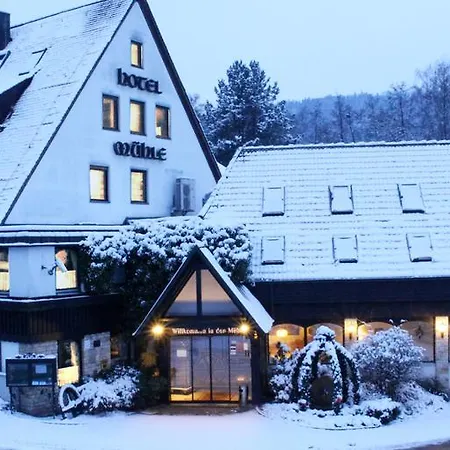 מלון Kainsbacher Muehle 4*