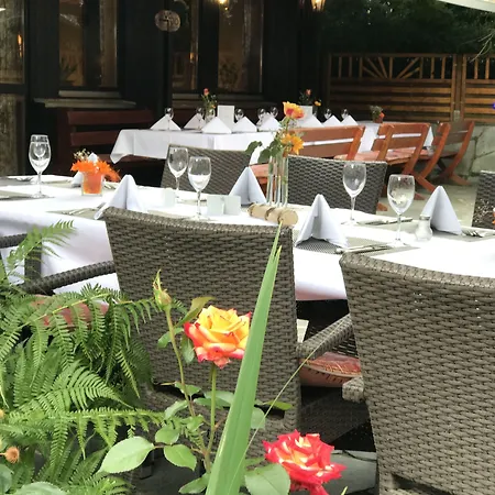 Hotel Kainsbacher Muehle 4*
